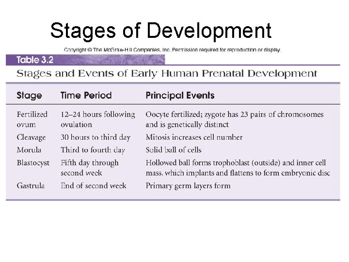 Stages of Development Table 3. 2 