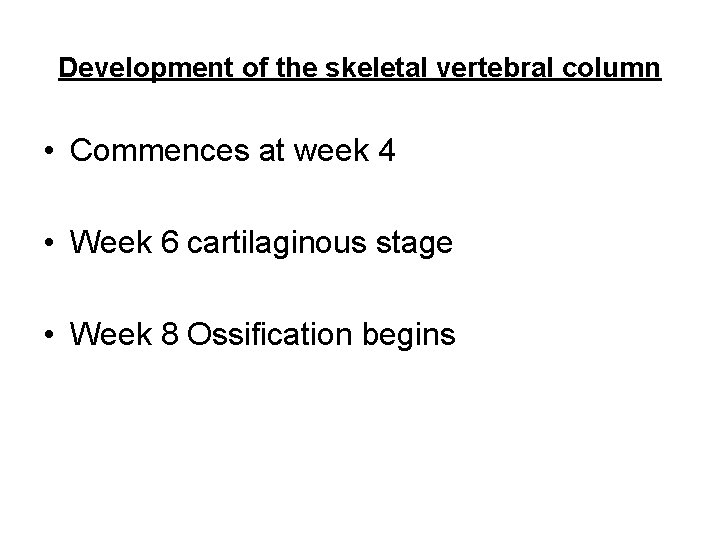 Development of the skeletal vertebral column • Commences at week 4 • Week 6