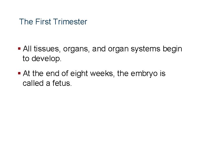 Human Reproduction and Development The First Trimester § All tissues, organs, and organ systems