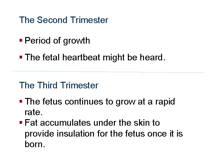 Human Reproduction and Development The Second Trimester § Period of growth § The fetal