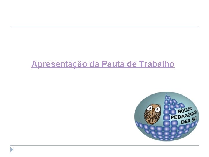 Apresentação da Pauta de Trabalho 