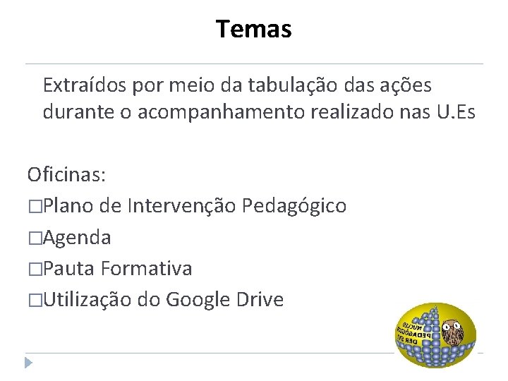 Temas Extraídos por meio da tabulação das ações durante o acompanhamento realizado nas U.