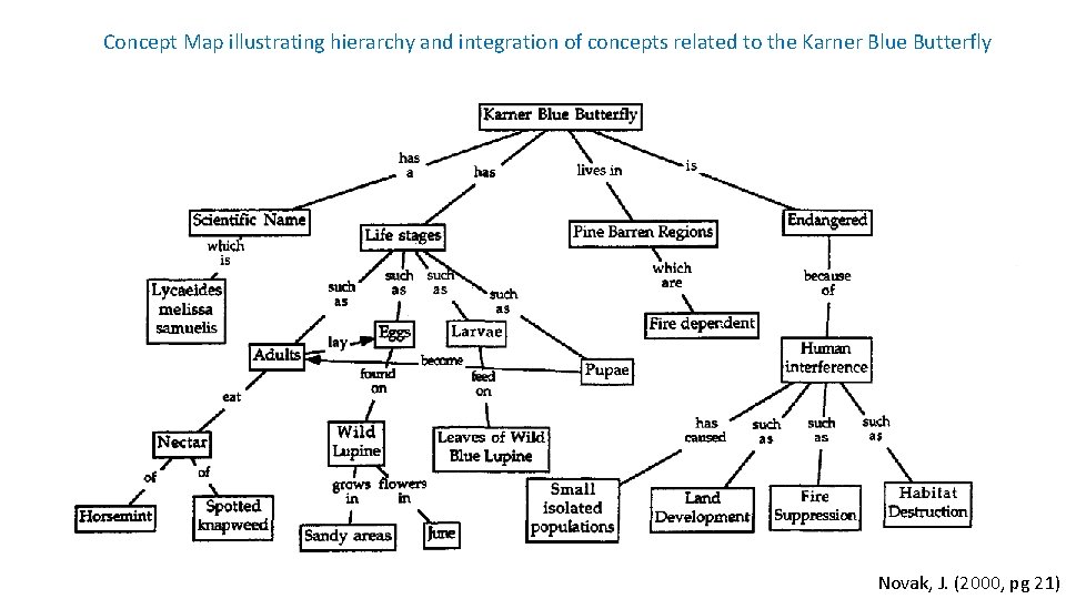 Concept Map illustrating hierarchy and integration of concepts related to the Karner Blue Butterfly Concept Map illustrating hierarchy and integration of concepts related to the Karner Blue Butterfly