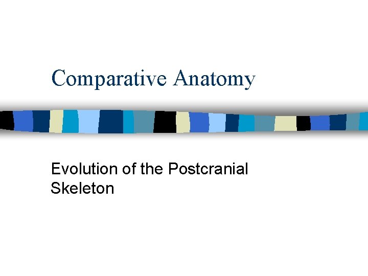 Comparative Anatomy Evolution of the Postcranial Skeleton 