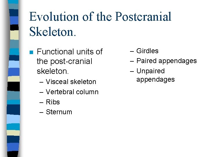 Evolution of the Postcranial Skeleton. n Functional units of the post-cranial skeleton. – –