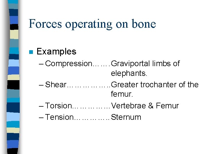 Forces operating on bone n Examples – Compression……. Graviportal limbs of elephants. – Shear…………….