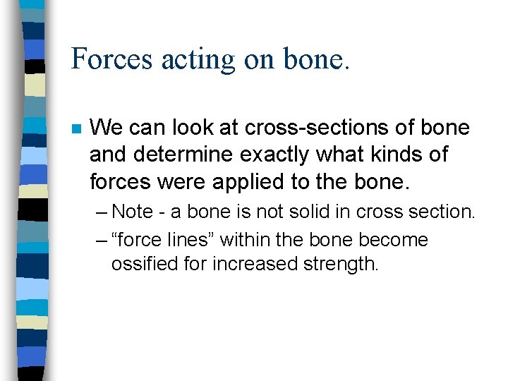 Forces acting on bone. n We can look at cross-sections of bone and determine