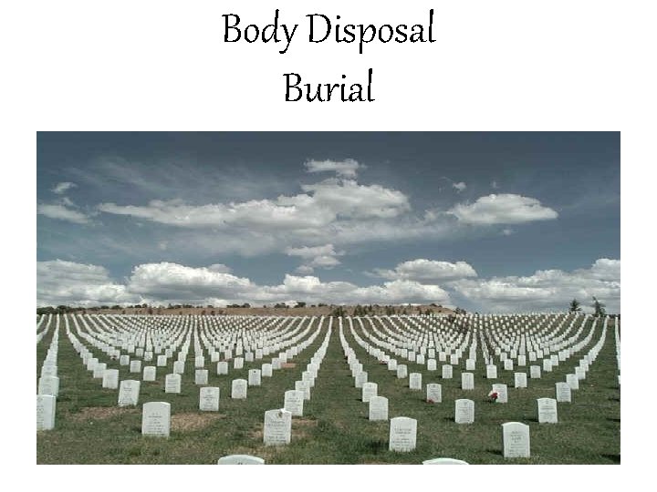 Body Disposal Burial 