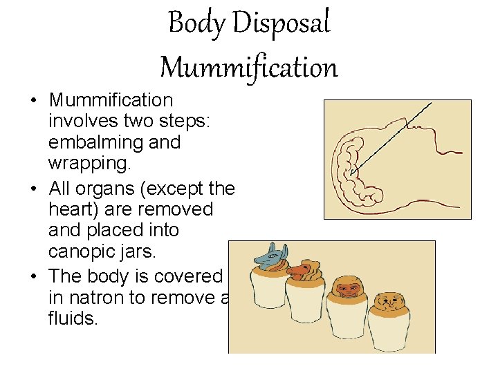 Body Disposal Mummification • Mummification involves two steps: embalming and wrapping. • All organs