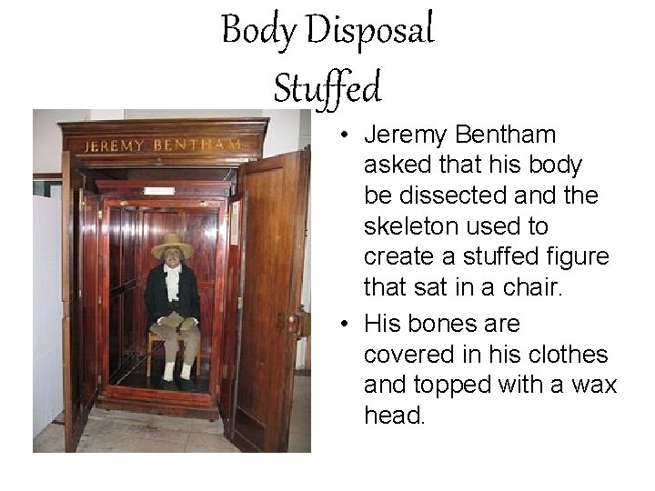 Body Disposal Stuffed • Jeremy Bentham asked that his body be dissected and the
