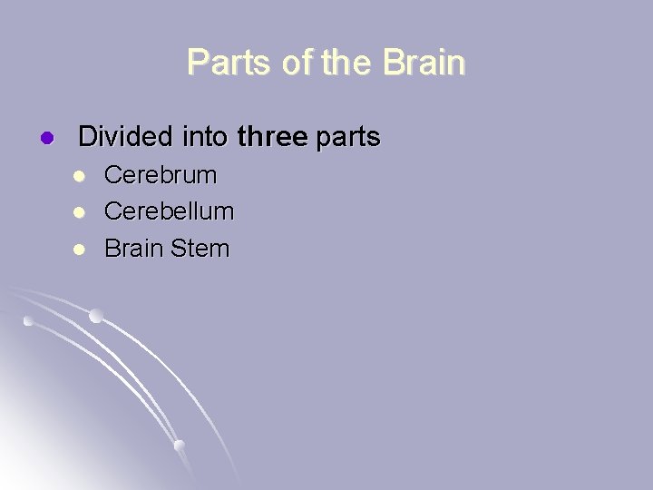 Parts of the Brain l Divided into three parts l l l Cerebrum Cerebellum