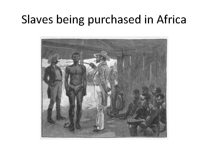 Slaves being purchased in Africa 