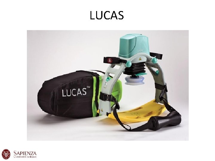 LUCAS LUCAS