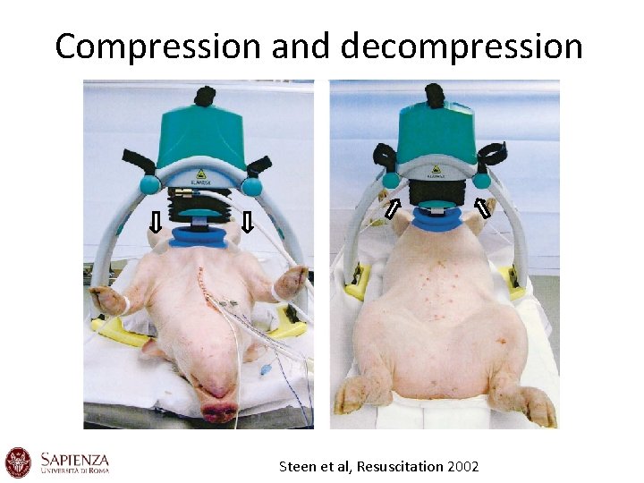 Compression and decompression Steen et al, Resuscitation 2002 Compression and decompression Steen et al, Resuscitation 2002