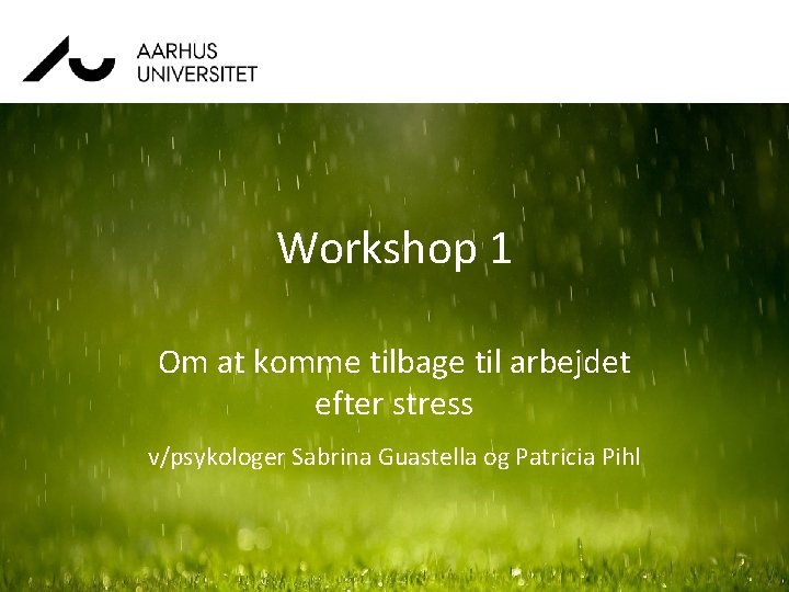 Workshop 1 Om at komme tilbage til arbejdet efter stress v/psykologer Sabrina Guastella og