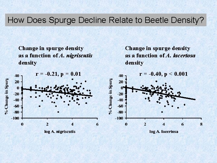 How Does Spurge Decline Relate to Beetle Density? Change in spurge density as a