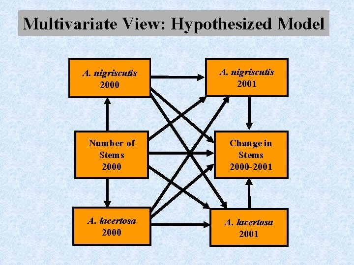 Multivariate View: Hypothesized Model A. nigriscutis 2000 A. nigriscutis 2001 Number of Stems 2000