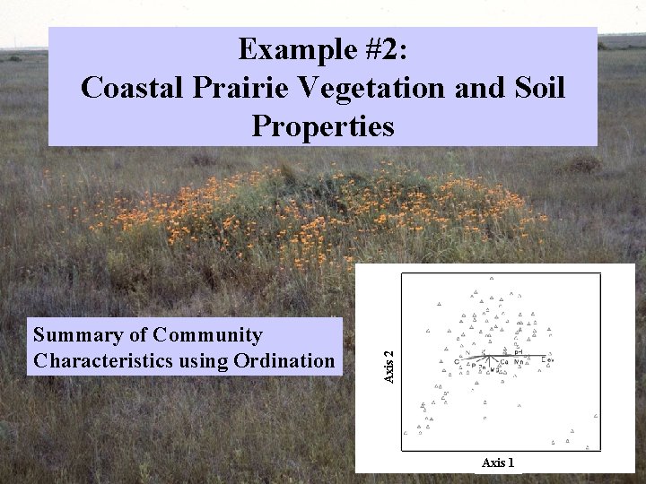 Summary of Community Characteristics using Ordination Axis 2 Example #2: Coastal Prairie Vegetation and