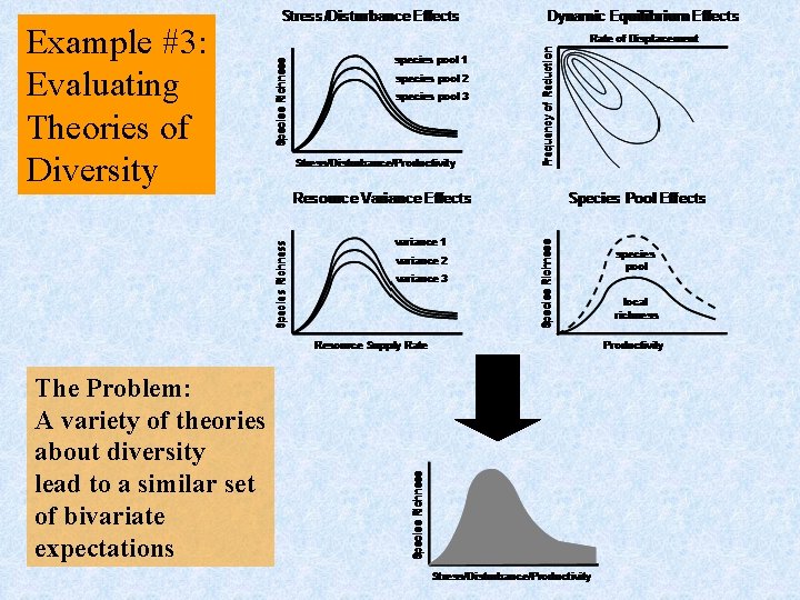 Example #3: Evaluating Theories of Diversity The Problem: A variety of theories about diversity