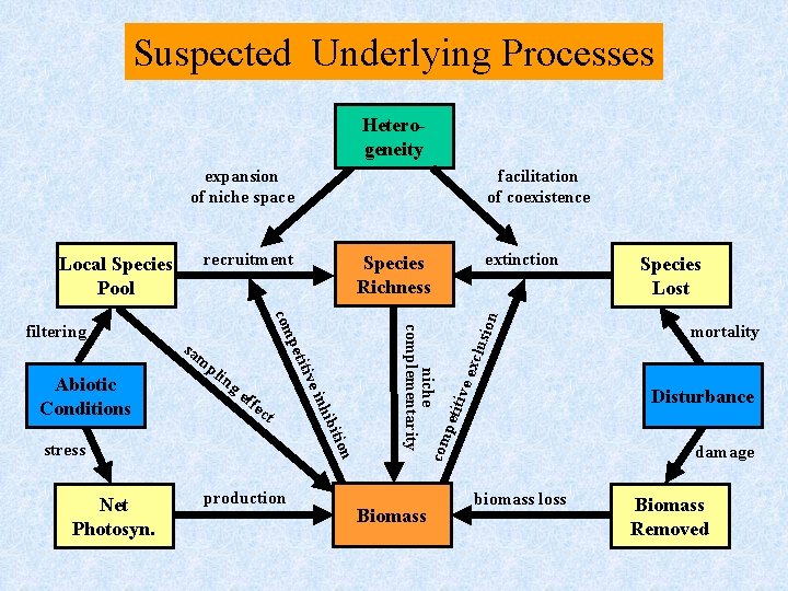 Suspected Underlying Processes Heterogeneity expansion of niche space recruitment itio Net Photosyn. n stress