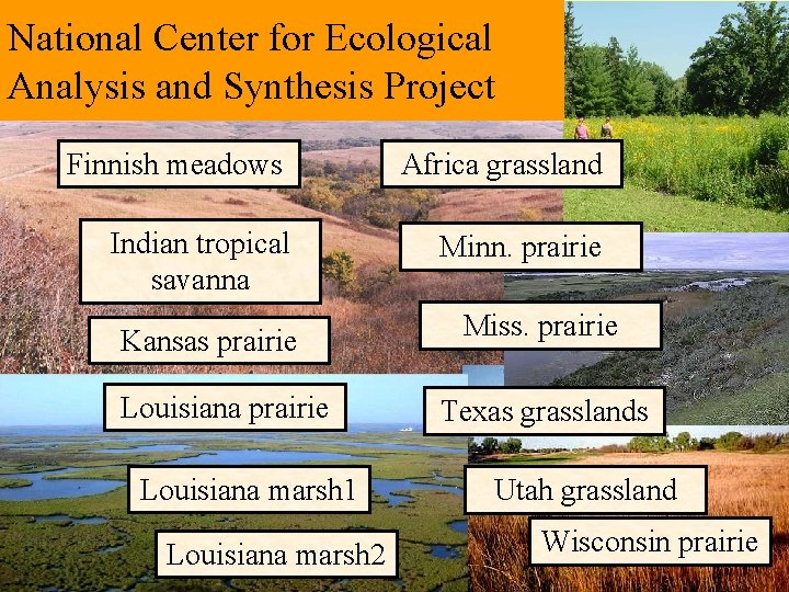 National Center for Ecological Analysis and Synthesis Project Finnish meadows Africa grassland Indian tropical