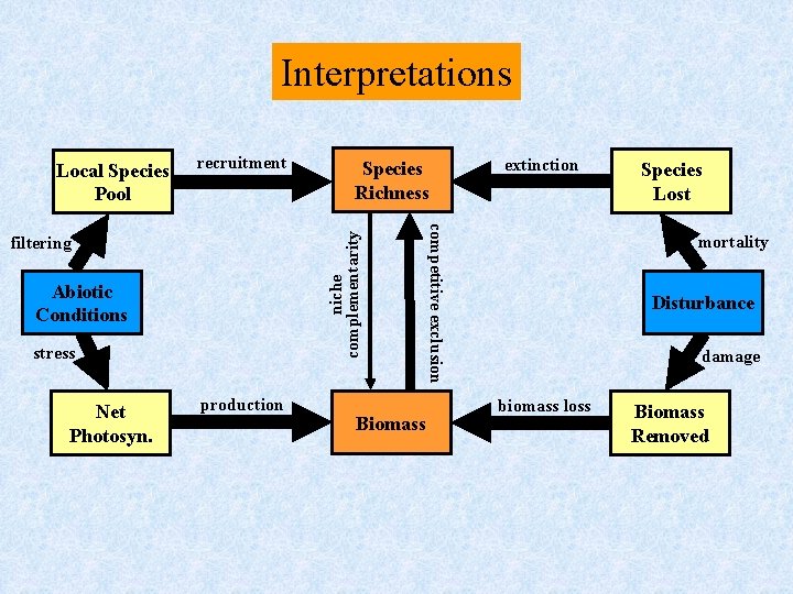 Interpretations recruitment Abiotic Conditions stress production Biomass extinction competitive exclusion filtering Net Photosyn. Species