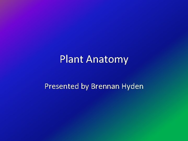 Plant Anatomy Presented by Brennan Hyden 