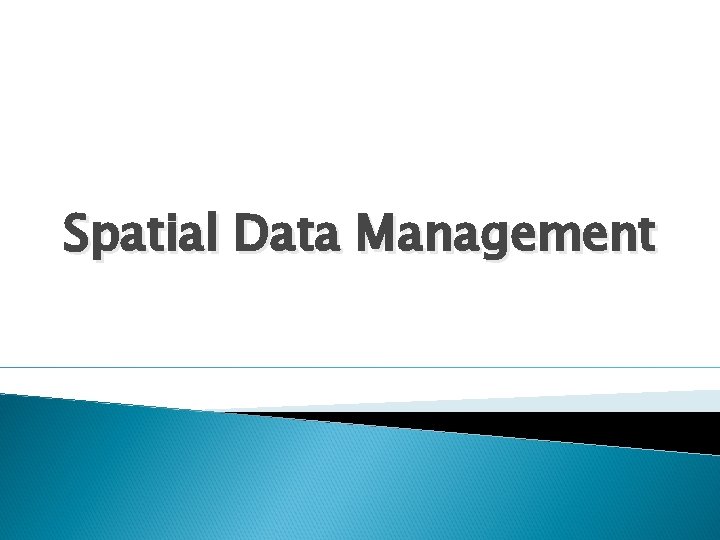 Spatial Data Management 