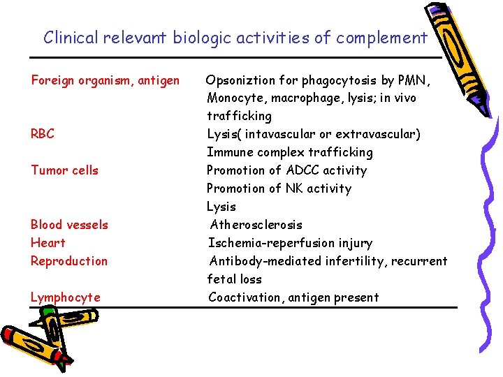 Clinical relevant biologic activities of complement Foreign organism, antigen RBC Tumor cells Blood vessels