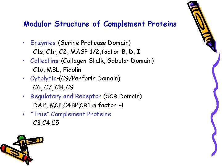 Modular Structure of Complement Proteins • Enzymes-(Serine Protease Domain) C 1 s, C 1
