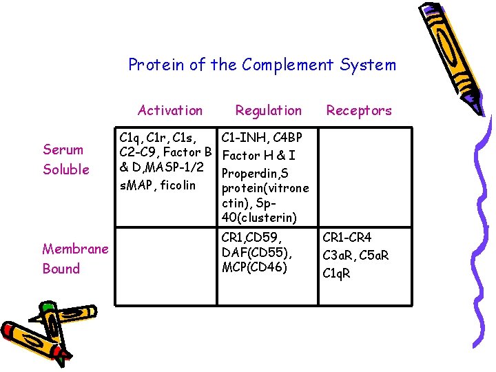 Protein of the Complement System Serum Soluble Membrane Bound Activation Regulation C 1 q,