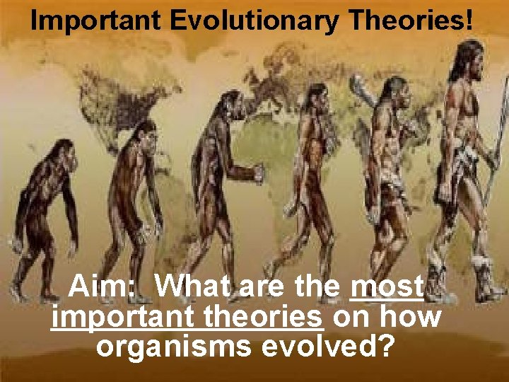 Important Evolutionary Theories! Aim: What are the most important theories on how organisms evolved?