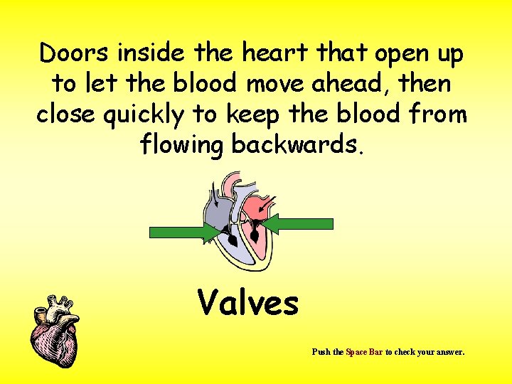 Doors inside the heart that open up to let the blood move ahead, then