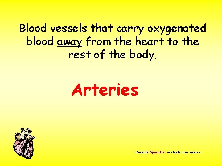 Blood vessels that carry oxygenated blood away from the heart to the rest of