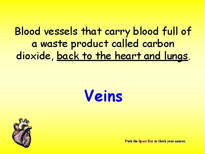 Blood vessels that carry blood full of a waste product called carbon dioxide, back
