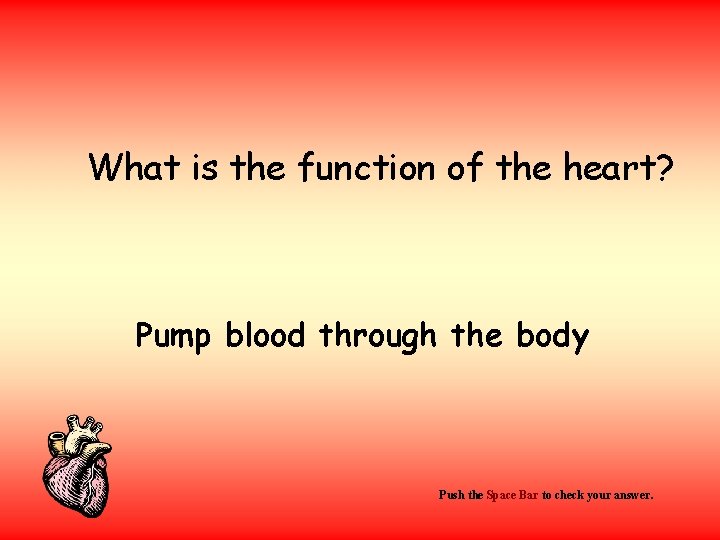 What is the function of the heart? Pump blood through the body Push the