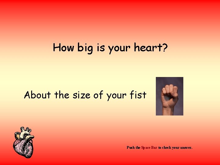 How big is your heart? About the size of your fist Push the Space