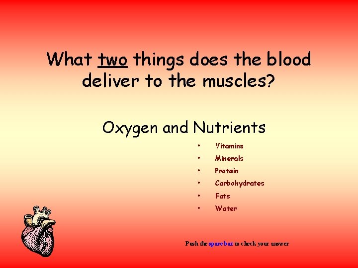 What two things does the blood deliver to the muscles? Oxygen and Nutrients •