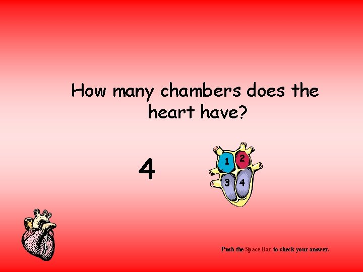 How many chambers does the heart have? 4 1 2 3 4 Push the