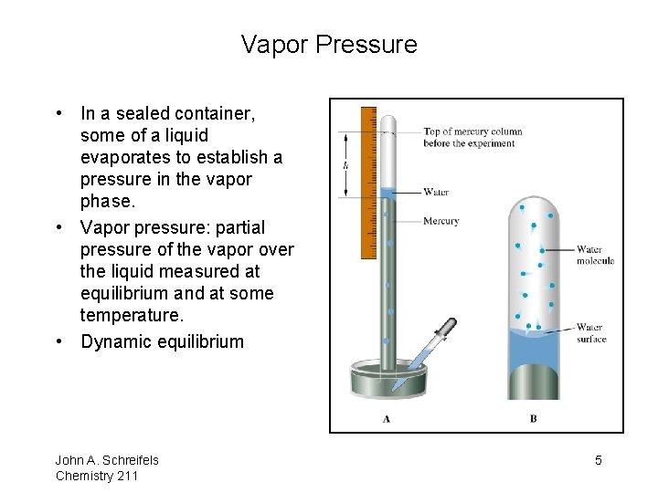 Vapor Pressure • In a sealed container, some of a liquid evaporates to establish