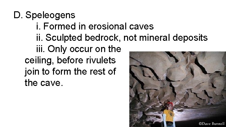 D. Speleogens i. Formed in erosional caves ii. Sculpted bedrock, not mineral deposits iii.