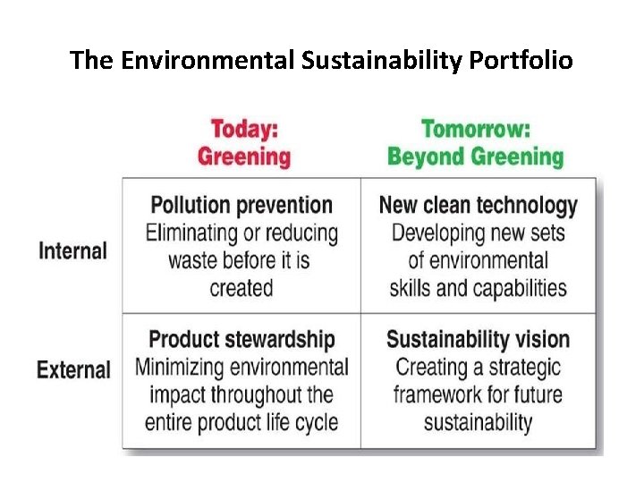 The Environmental Sustainability Portfolio 