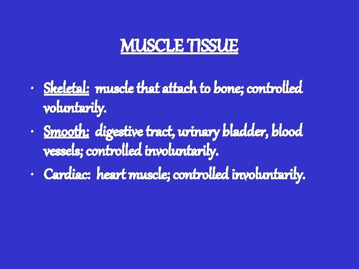 MUSCLE TISSUE • Skeletal: muscle that attach to bone; controlled voluntarily. • Smooth: digestive