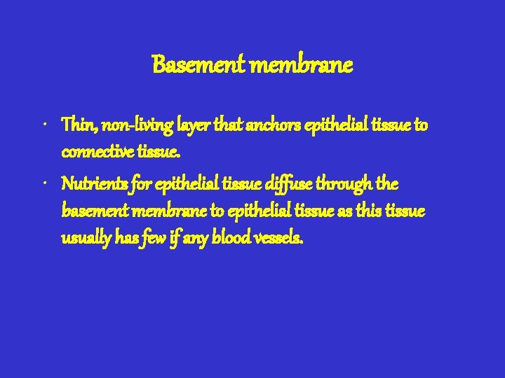 Basement membrane • Thin, non-living layer that anchors epithelial tissue to connective tissue. •