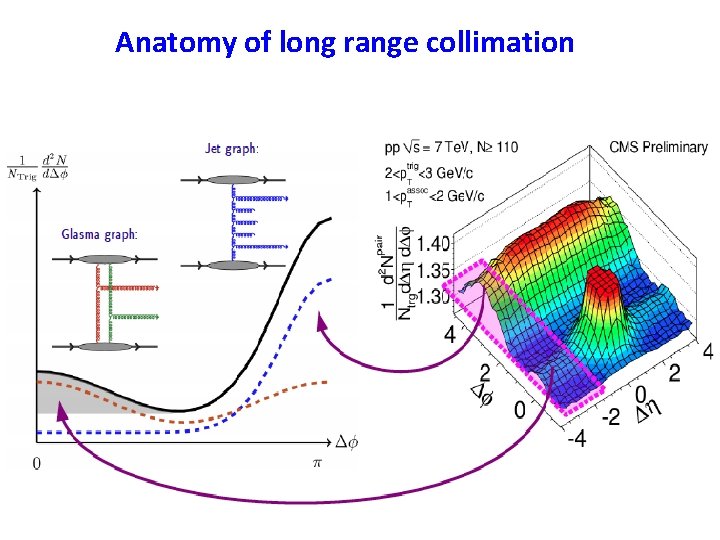 Anatomy of long range collimation 