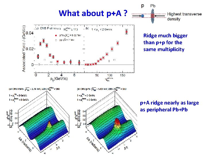 What about p+A ? Ridge much bigger than p+p for the same multiplicity p+A