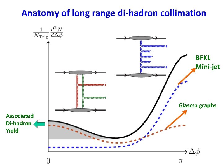 Anatomy of long range di-hadron collimation BFKL Mini-jet Glasma graphs Associated Di-hadron Yield 