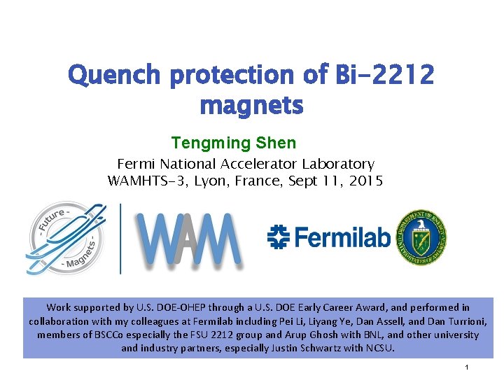 Quench protection of Bi-2212 magnets Tengming Shen Fermi National Accelerator Laboratory WAMHTS-3, Lyon, France,