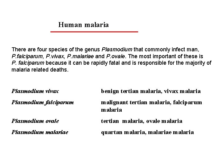 Human malaria There are four species of the genus Plasmodium that commonly infect man,