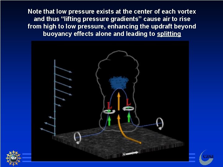 Note that low pressure exists at the center of each vortex and thus “lifting